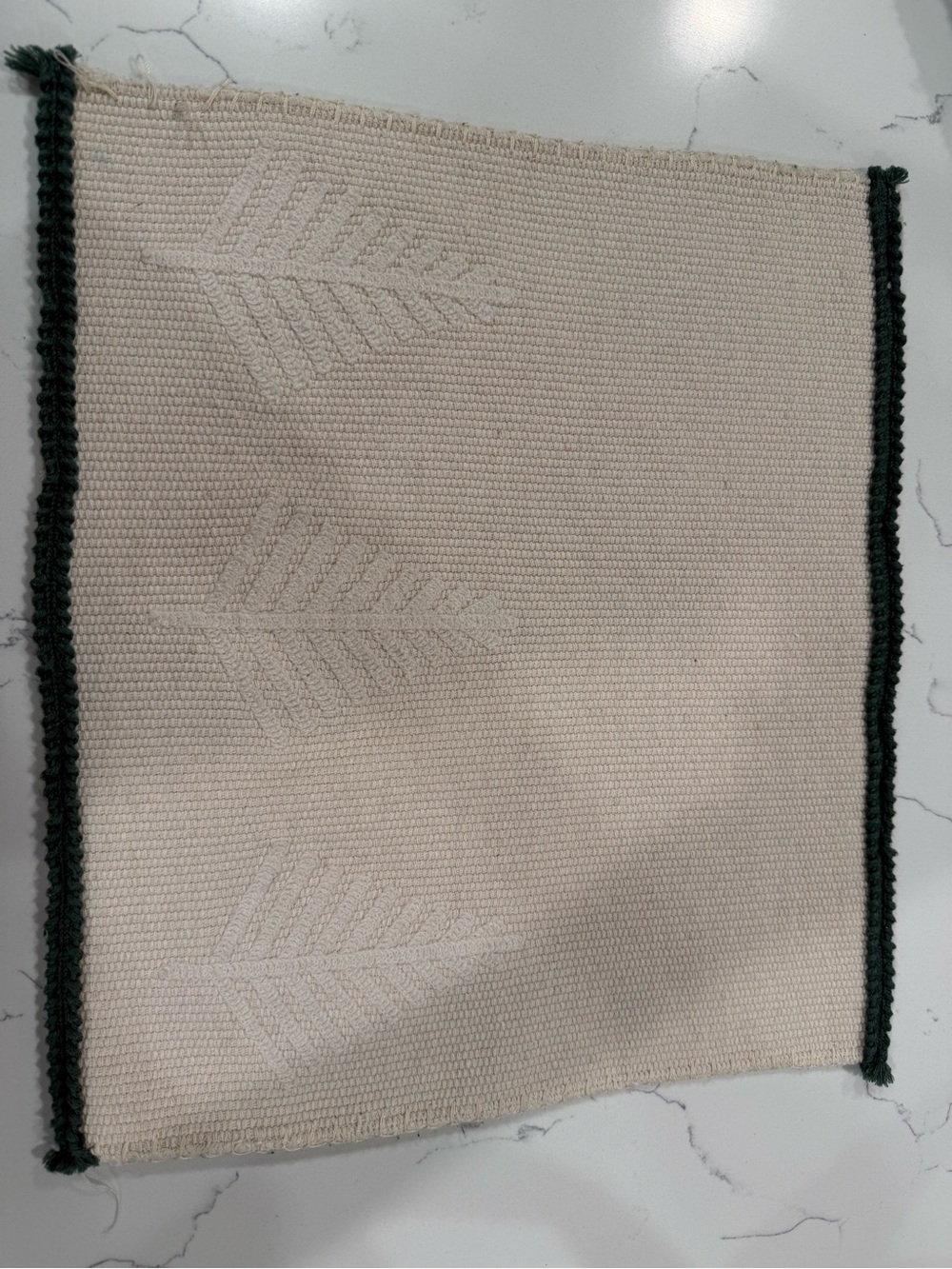 12 Christmas/Winter placemats